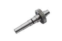 Pinion
