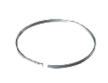 Lined Ring of Dies