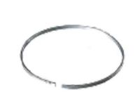 Lined Ring of Dies